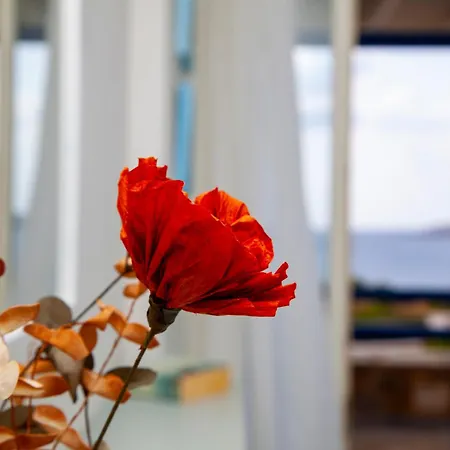 Aura Paros * لوغاراس