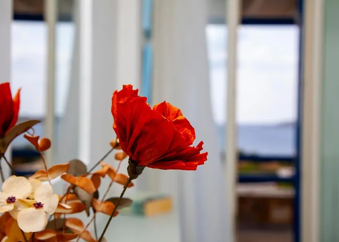 Aura Paros * لوغاراس