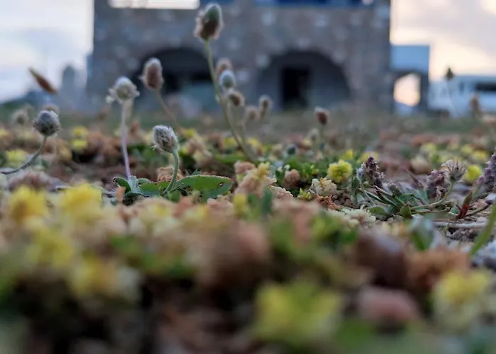 Aura Paros شقة لوغاراس