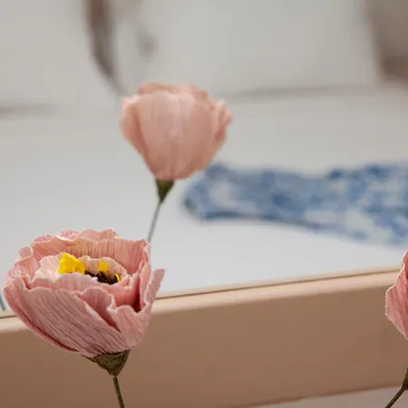 Apartment Aura Paros