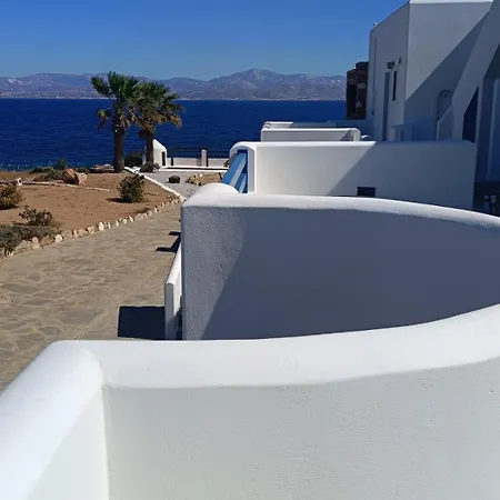 Aura Paros * Logaras