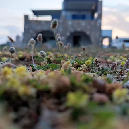 Aura Paros Appartement Logaras